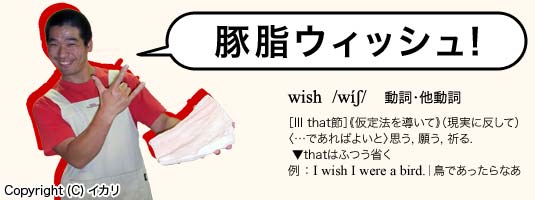 豚脂ウィッシュ