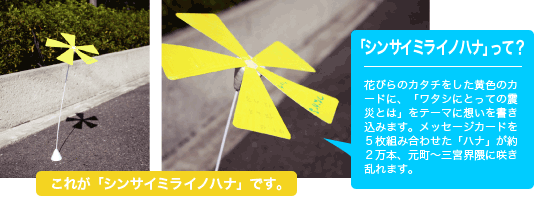 シンサイミライノハナ